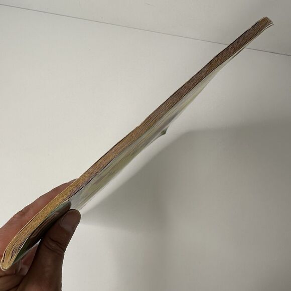 Vtg 1979 Lassie Landslide At Roberts Range Coloring Book Golden READ - Picture 5 of 13